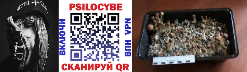 Псилоцибиновые грибы Cubensis  даркнет сайт  MEGA рабочий сайт  Саратов 