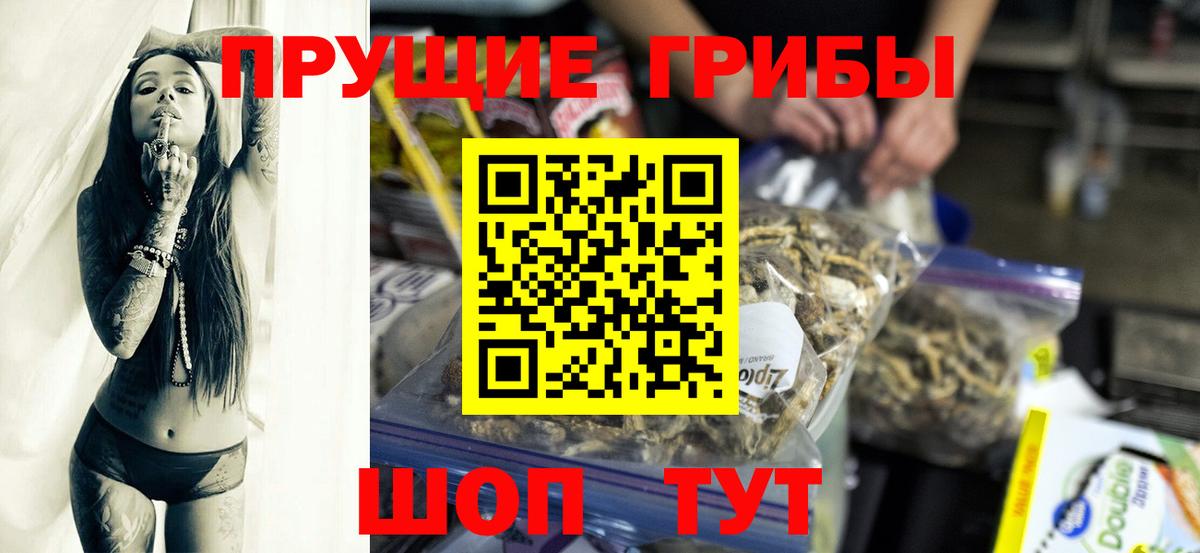 Саратов  Галлюциногенные грибы Psilocybe  дарнет шоп  Вход с VPN 